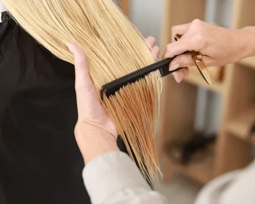 hair-cutting-professional-hairdresser-working-600nw-2569662243
